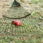 Hvordan kan jeg undgå at løvrive-tænderne knækker?